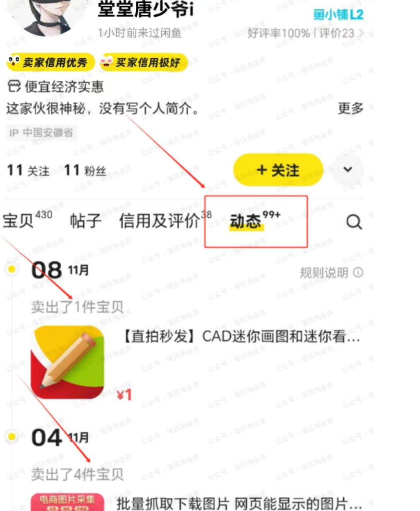 闲鱼虚拟资料玩法 - 配图13