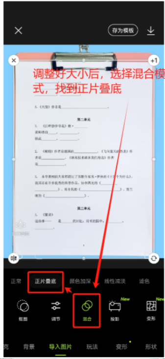 小学资料（抖音） - 配图23