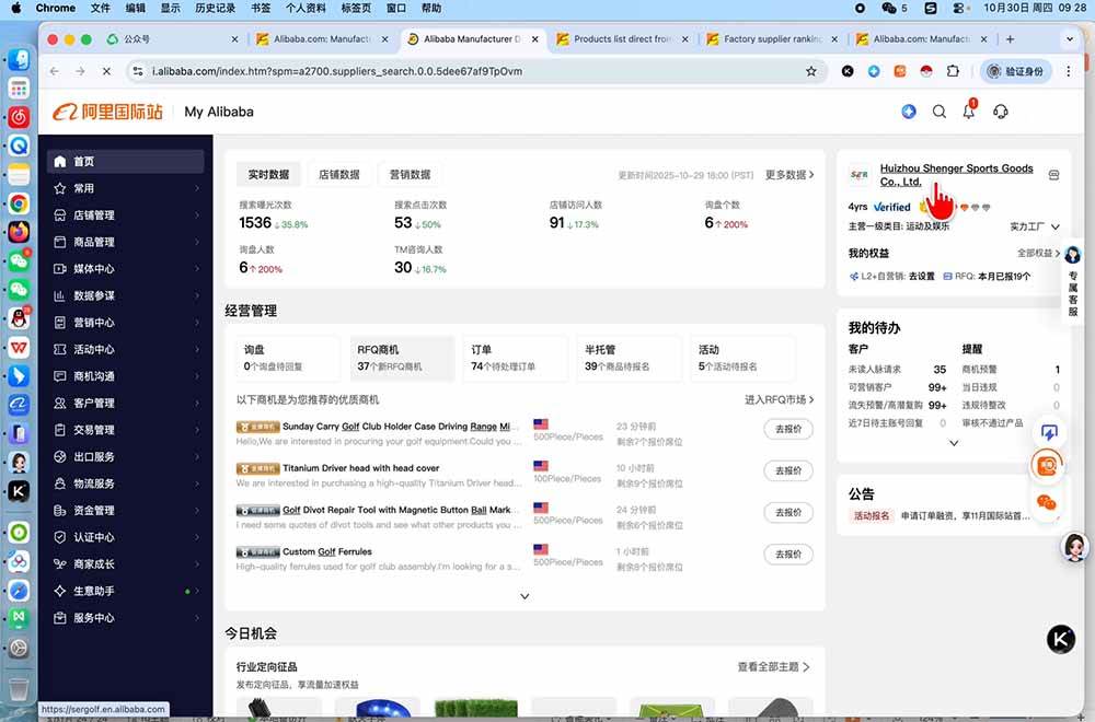 （19652期）阿里国际站运营课：一套基于AI与2026新算法的阿里国际站全链路精细化运营SOP与方法论(更新) - 啥好玩副业网-啥好玩副业网