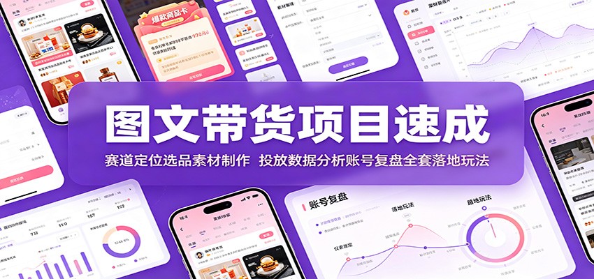 图文带货项目速成：赛道定位选品素材制作，投放数据分析账号复盘全套落地玩法 - 啥好玩-啥好玩