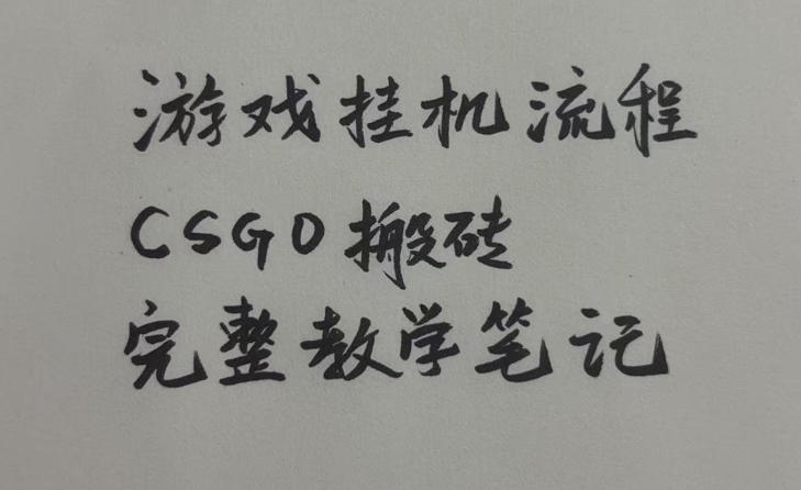 游戏挂G全流程笔记分享，CSGO游戏搬砖，小白看了当天学会见收益【揭秘】-啥好玩副业网