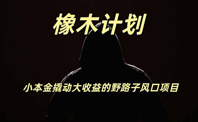 橡木计划,小投入撬动高回报的风口野路子项目,一天投入2小时左右-啥好玩副业网