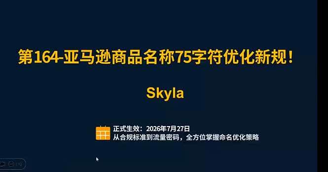 （19352期）亚马逊跨境实战课：全品类选品逻辑｜SP/SB/SD广告精细化｜新品打爆旺季爆单全套运营教程 - 啥好玩-啥好玩
