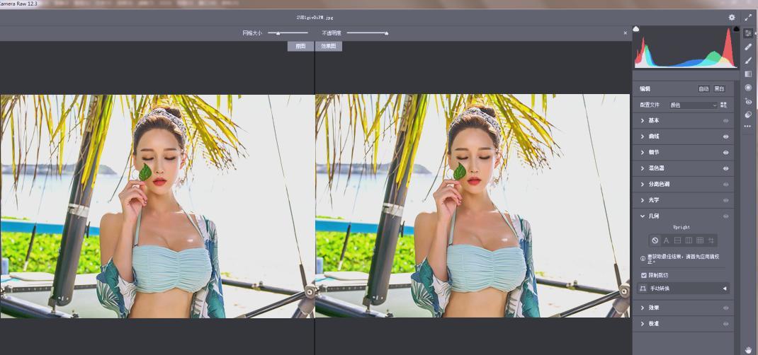 RAW处理Adobe Camera Raw v18.5.0中文版-啥好玩副业网