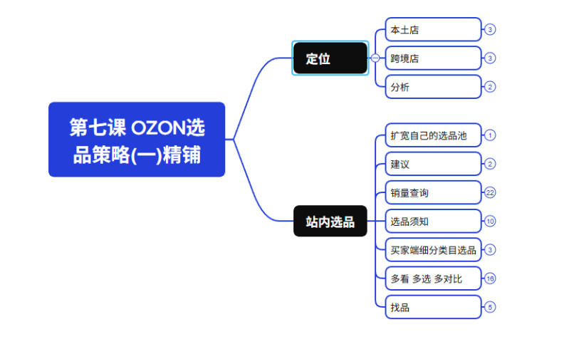 2026最新OZON全流程运营实操跨境电商平台教程，OZON全流程一站式系统学习必修课，从开店到跟卖到精铺-啥好玩