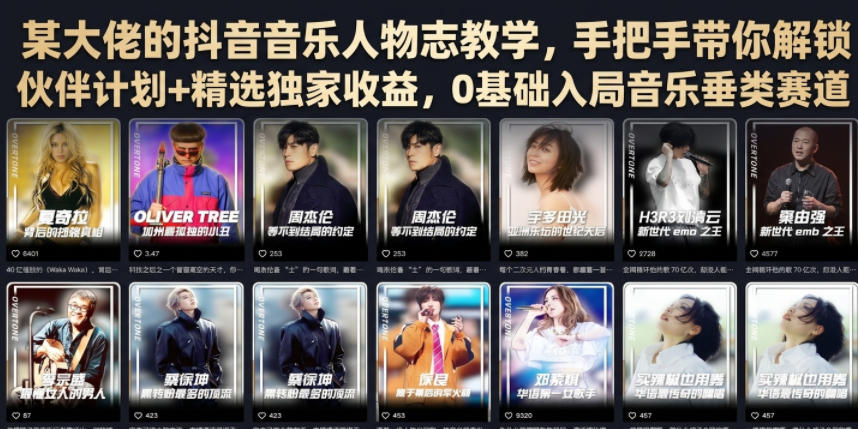 某大佬的抖音音乐人物志教学，手把手带你解锁伙伴计划+精选独家收益，0基础入局音乐垂类赛道 - 啥好玩-啥好玩