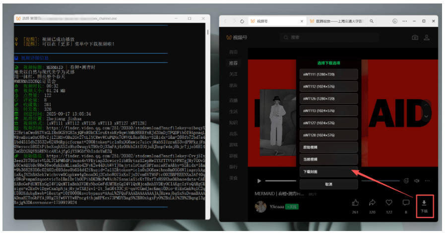 Github热门工具，视频号下载神器又来了！一键注入下载按钮，轻松下载，使用便捷wx_channel - 啥好玩-啥好玩