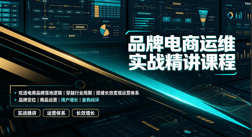 品牌电商运维实战精讲课程｜吃透电商品牌落地逻辑、穿越行业周期、搭建长效变现运营体系-啥好玩