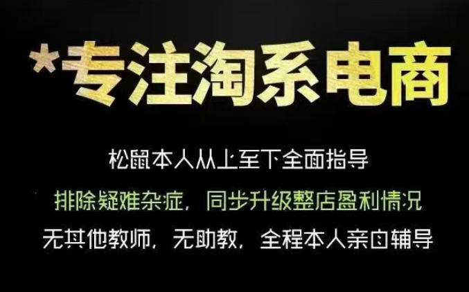 松鼠会电商VIP课程，从基础布局到高阶优化，助你掌握淘宝运营逻辑，提升店铺流量与转化（更新0809） - 啥好玩副业网-啥好玩副业网